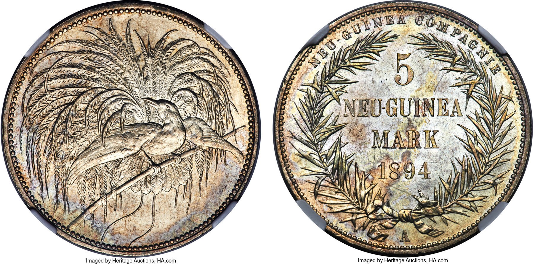 1894年(130年前)ドイツ領ニューギニア 1ペニヒ銅貨 ドイツ領ニューギニア2ペニヒ貨の価値 | 古銭の森